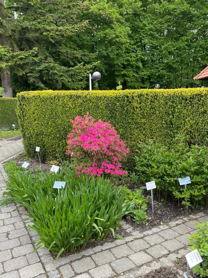Apartment Appartementhof Stadler